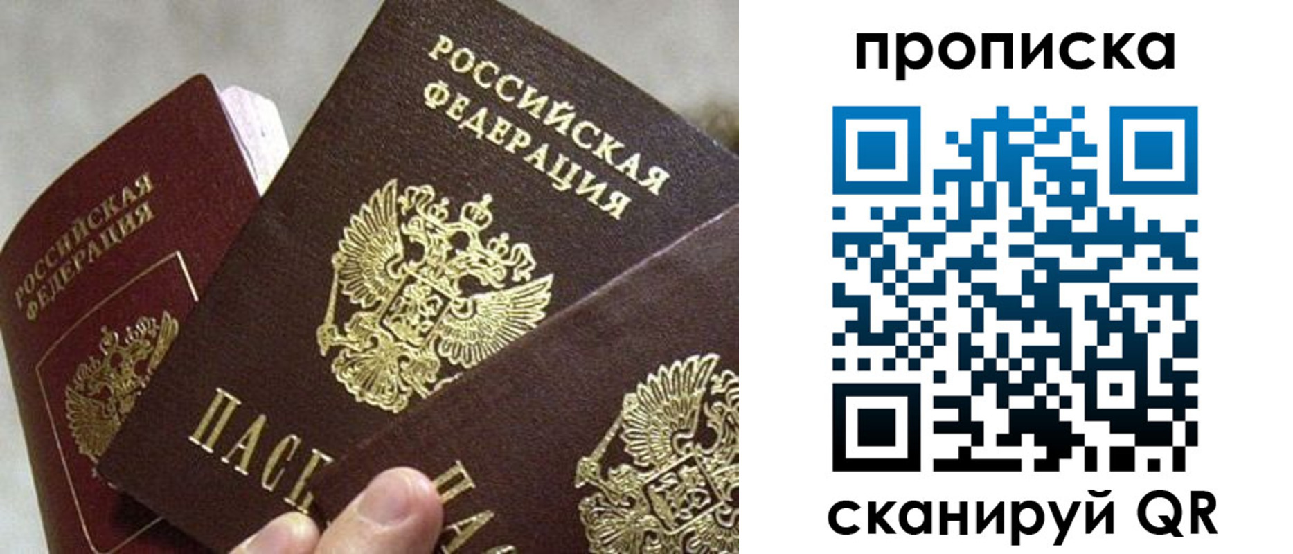 прописка 2025 в Елизово